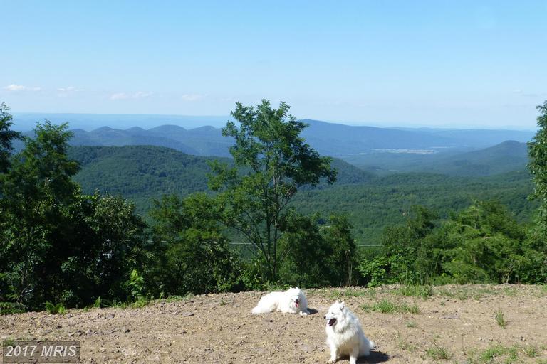 333 Nathaniel Mountain Road - Photo 1