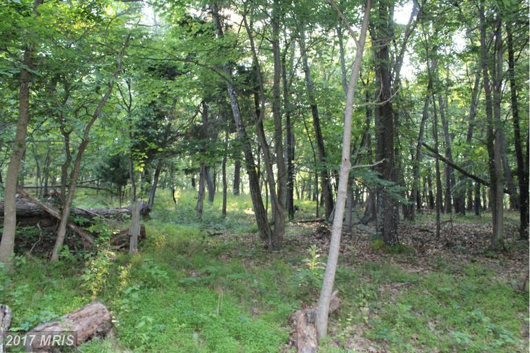 Anderson Ridge Rd - Photo 1