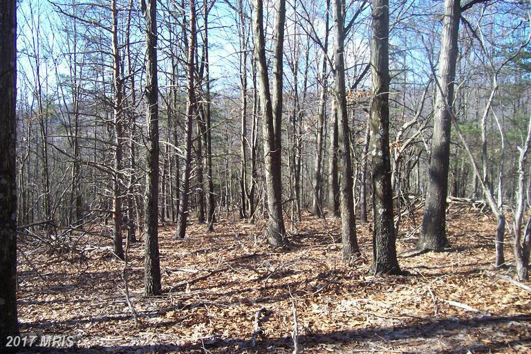 Lot 19 Canyon Creek Phase Ii - Photo 1