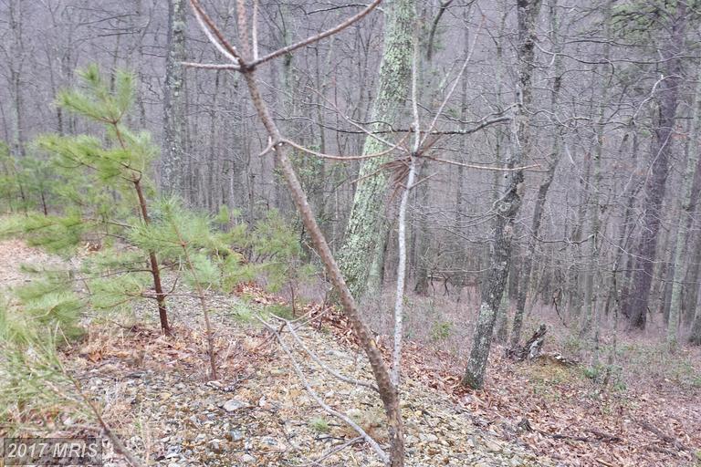 4 Rustic Ridge - Photo 1