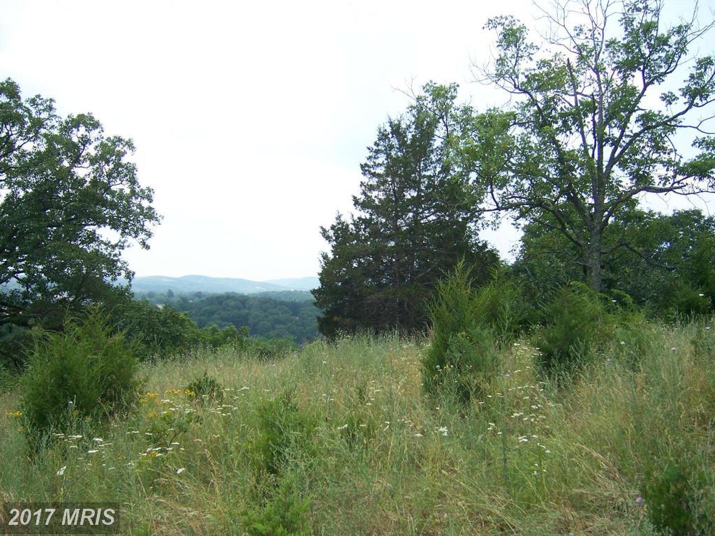 Lem Cleaver Road - Photo 1