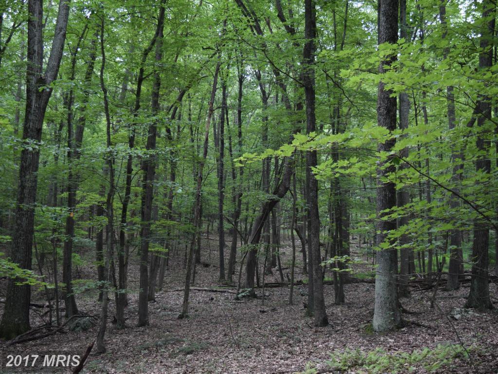 Timber Ridge Road - Photo 1