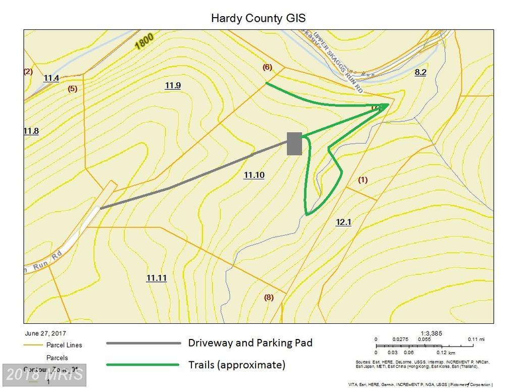 Skaggs Run Road - Photo 1