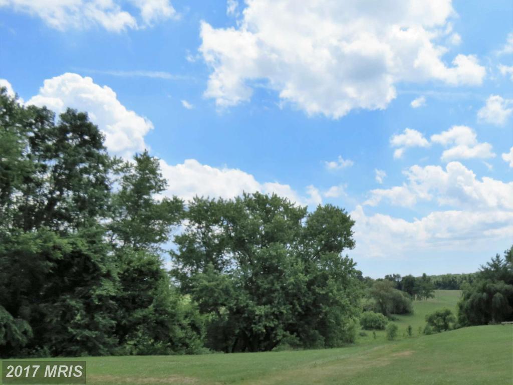 3513-A Burkins Road - Photo 1