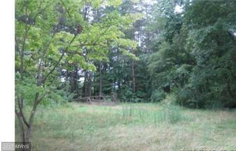 409 Trimble Road - Photo 1