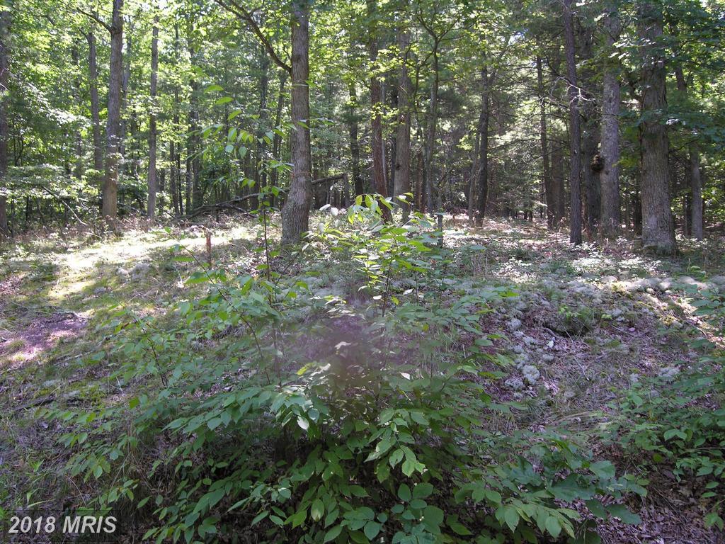 Mill Mountain Road - Photo 1