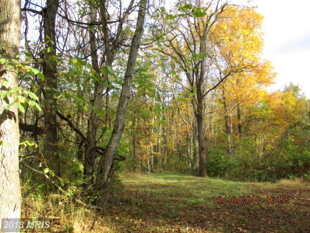 Carolina Drive - Photo 1