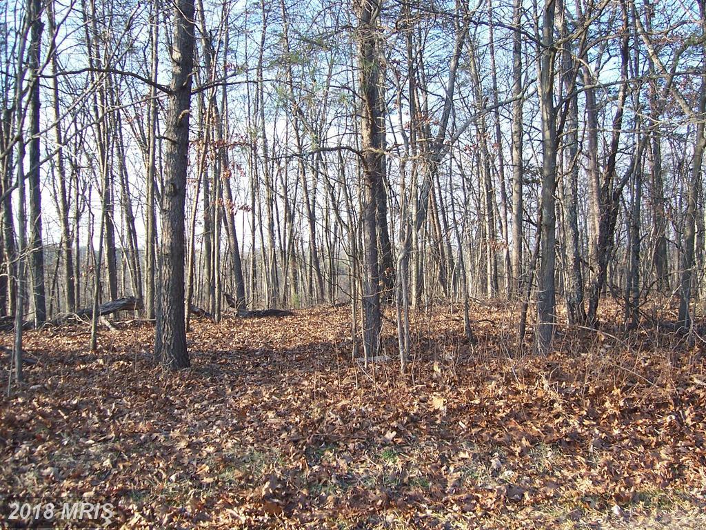 Shady Pine Drive - Photo 1