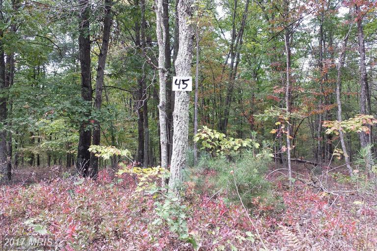 45 Davids Rd - Photo 1