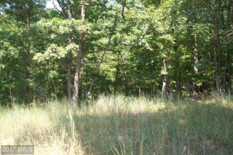 White Oak Trail - Photo 1