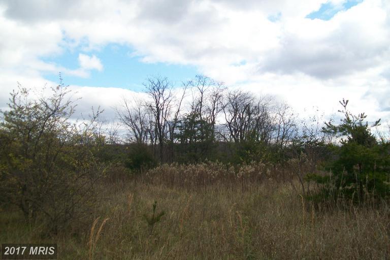 Peach Lake Drive - Photo 1