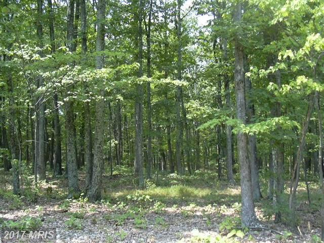 35 Sleepy Knolls - Photo 1