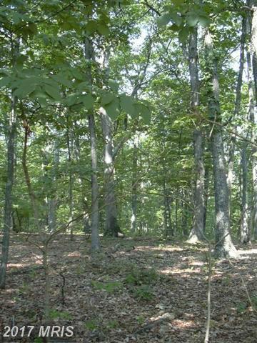 32 Sleepy Knolls - Photo 1