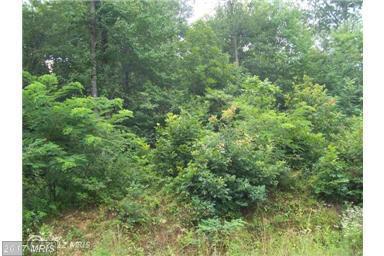28 Bluffs Road - Photo 1
