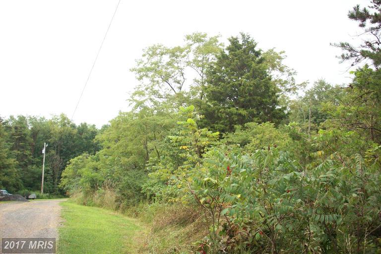 Steelhorse Trail - Photo 1