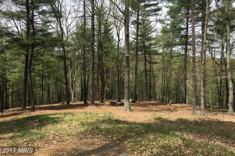 102 Mossy Oaks Road - Photo 1