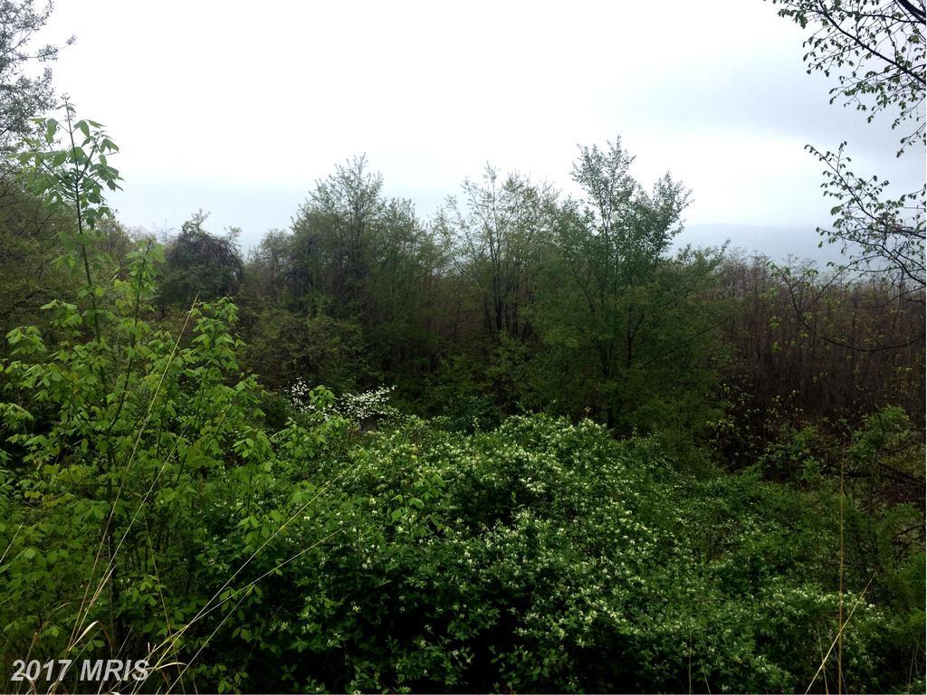 High Apple Mtn Road - Photo 1