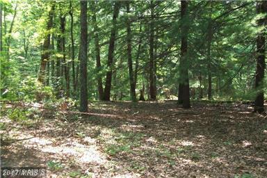 Laurel Dale Court - Photo 1