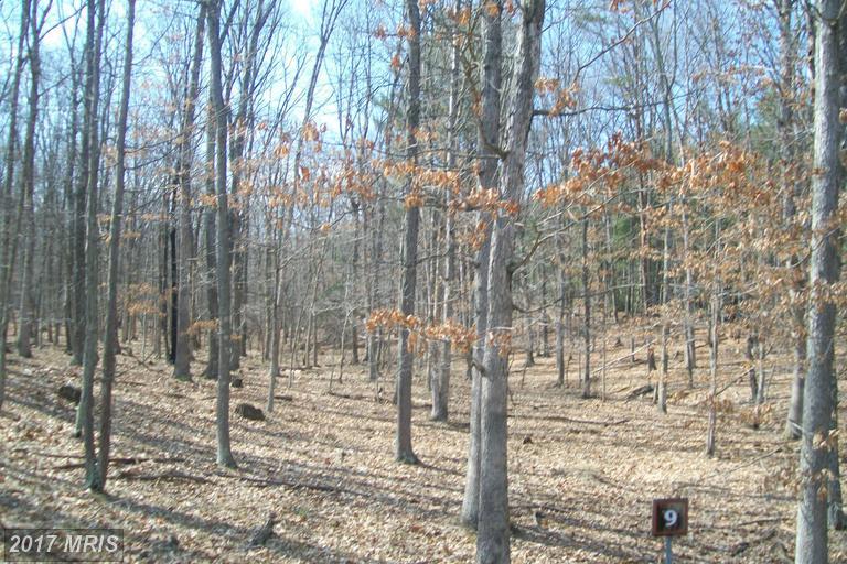 Cooper Run Road - Photo 1