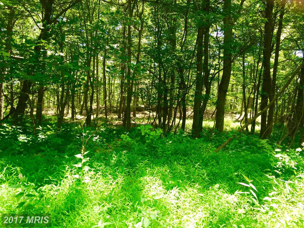 LOT 15 Falcon View Drive - Photo 1