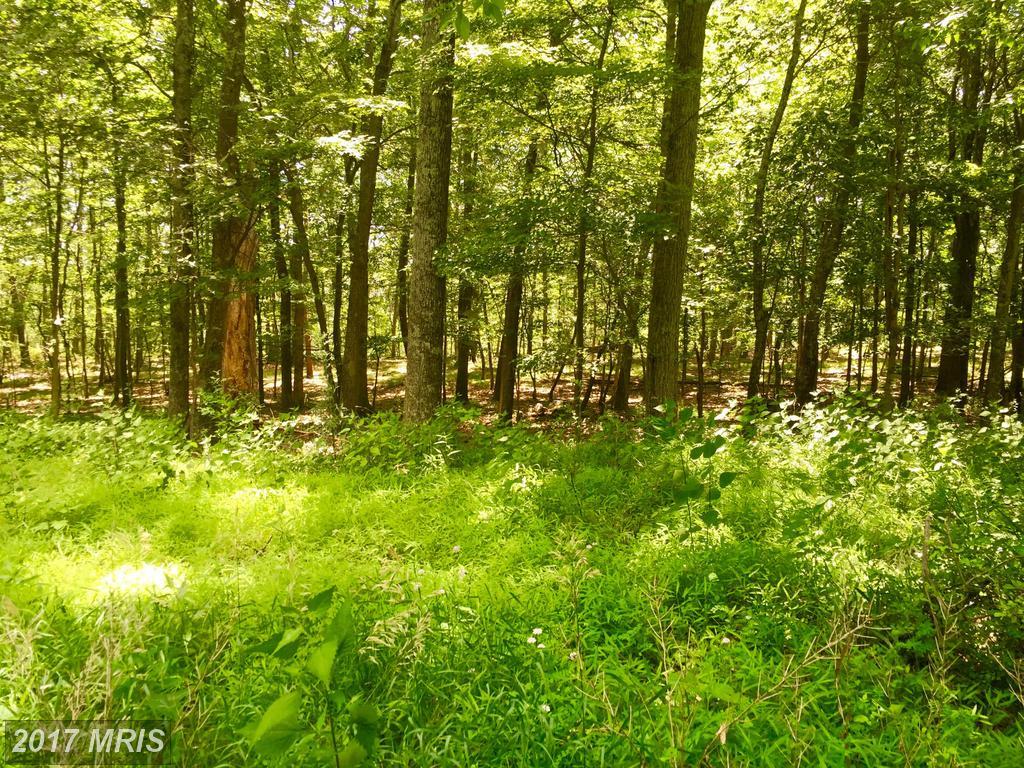 LOT 16 Falcon View Drive - Photo 1