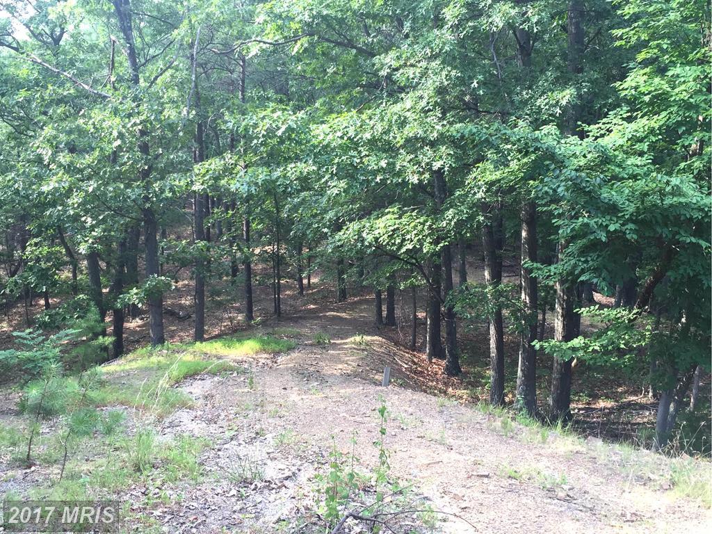 Sparrow Lane - Photo 1