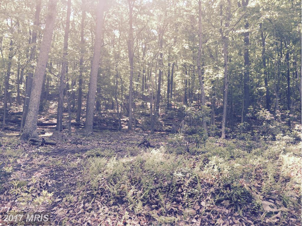 Big Horn Trail - Photo 1