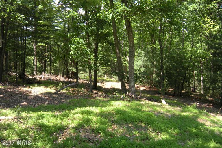 LOT #101 Mossy Oaks Road - Photo 1