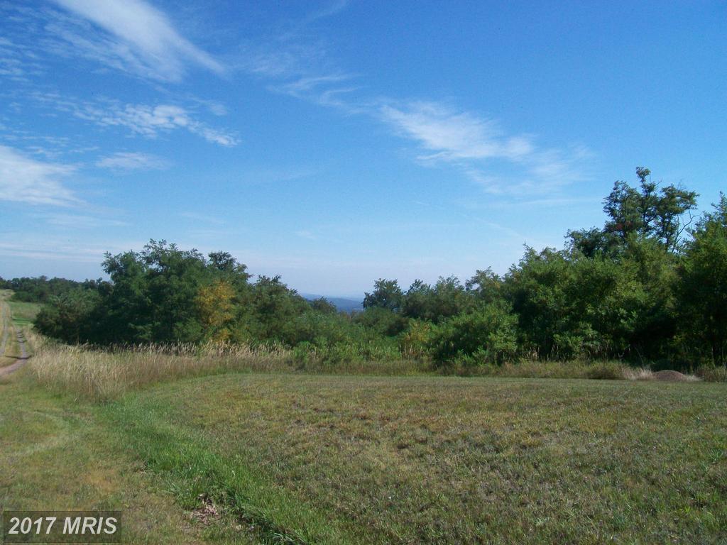 Nathaniel Drive - Photo 1
