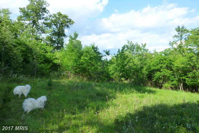 Bluffs Road - Photo 1