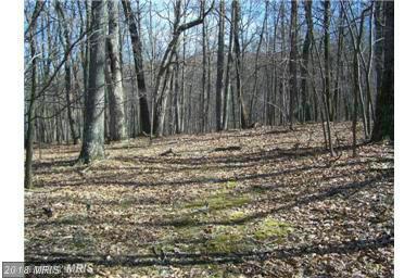 11-C Critton Owl Hollow Road - Photo 1