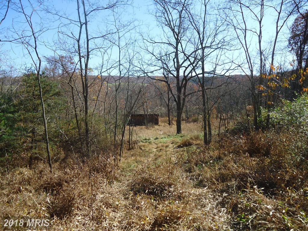 Nathaniel Mountain Road - Photo 1