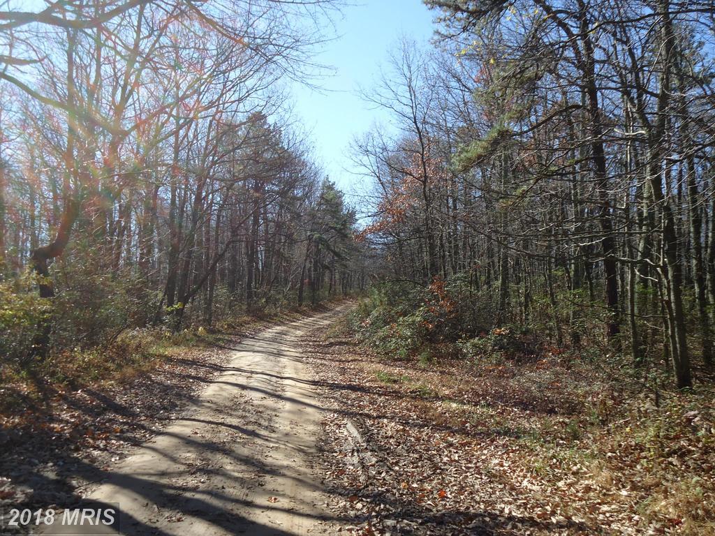 Nathaniel Mountain Road - Photo 1