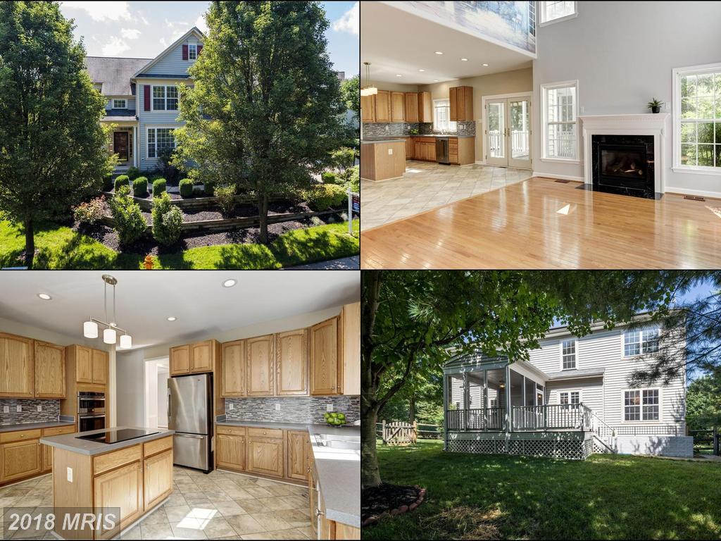9520 Star Moon Lane - Photo 1