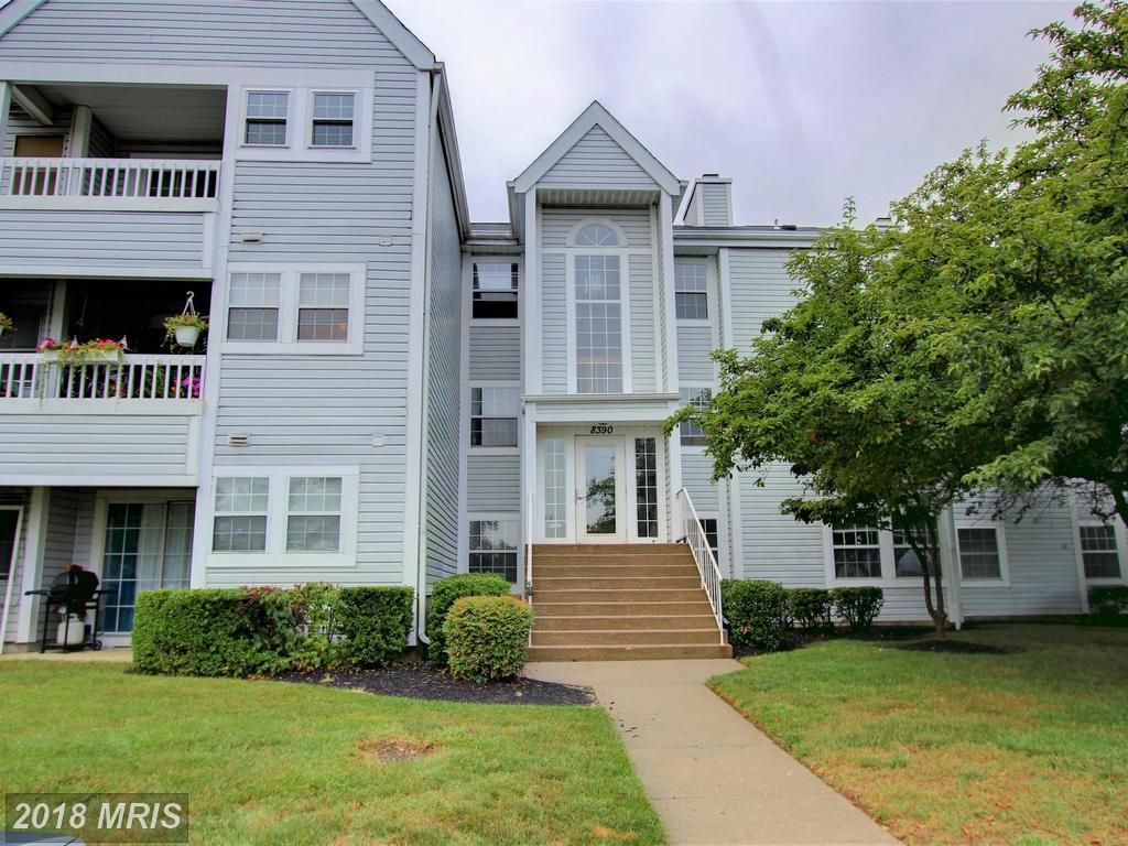 8390 Montgomery Run Road - Photo 1
