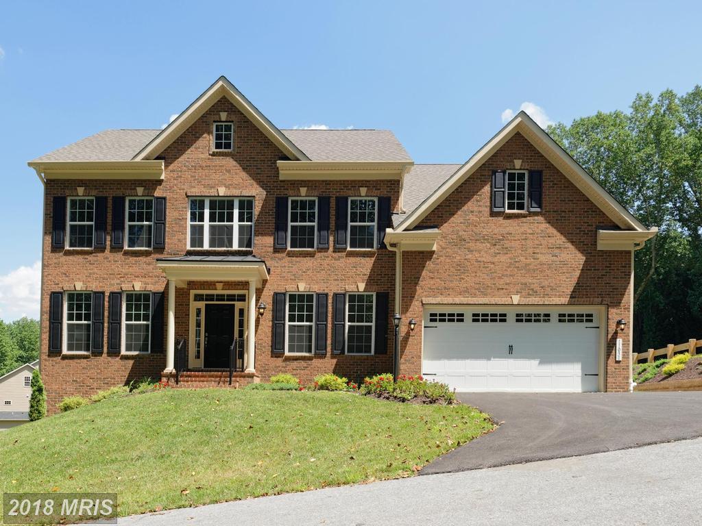 11031 Fuzzy Hollow Way - Photo 1