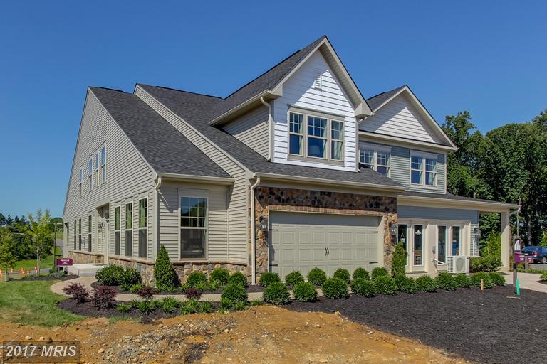 Wilderness Lane - Photo 1
