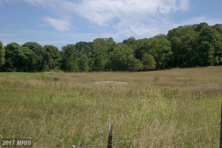 Alstadts Hill Road - Photo 1