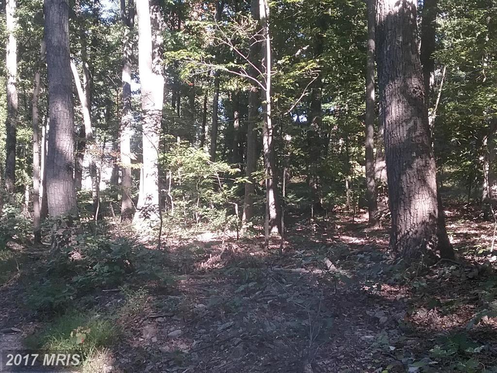 Oak Ridge Drive - Photo 1