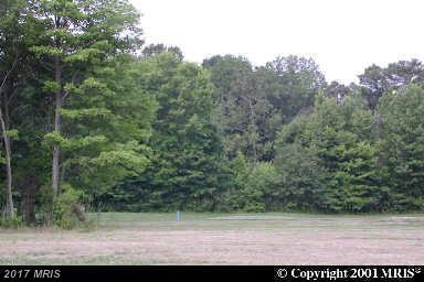7030 Swan Creek Road - Photo 1