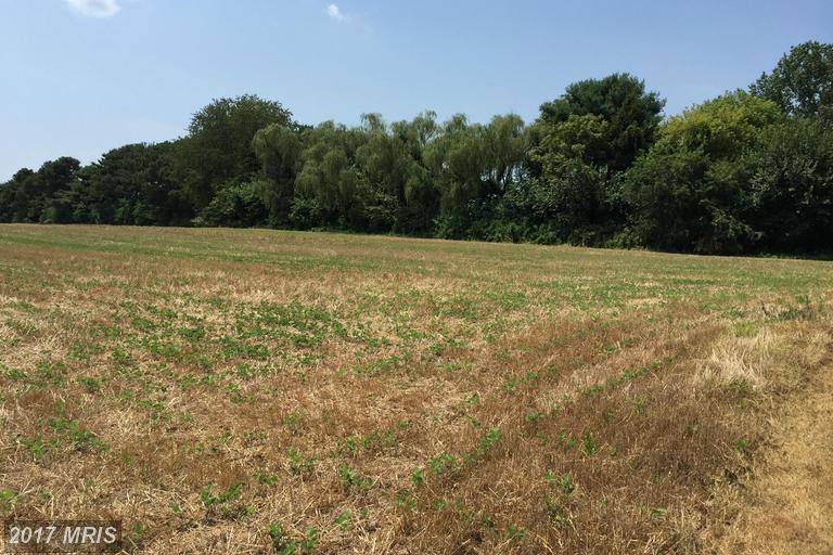 24761 Smithville Road - Photo 1