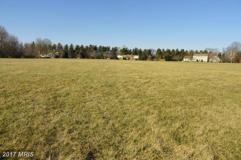 8920 Orchard Drive - Photo 1