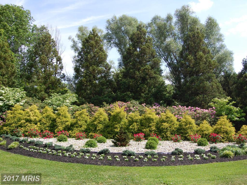 14071 Crataegus Court - Photo 1