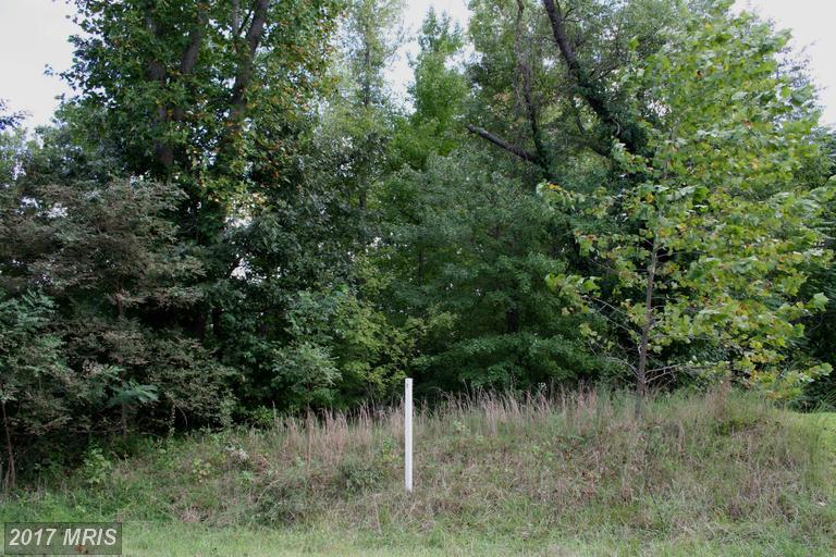LOT 19 St Pauls - Photo 1
