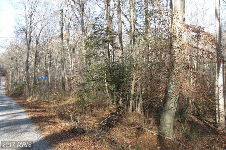 Lot 3 Michael Drive - Photo 1