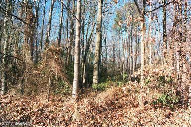 State Road - Photo 1