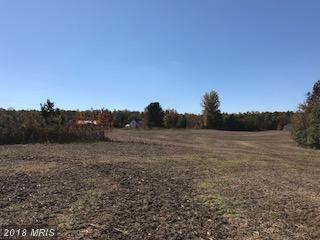 13 Bella Woods Dr - Photo 1