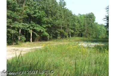 0 Kentucky Springs Road - Photo 1