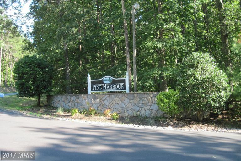 Pine Harbour Dr. Drive - Photo 1