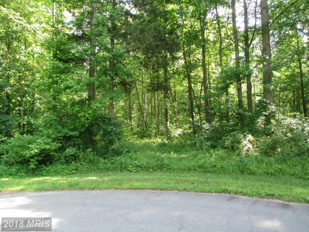Slasher Place - Photo 1